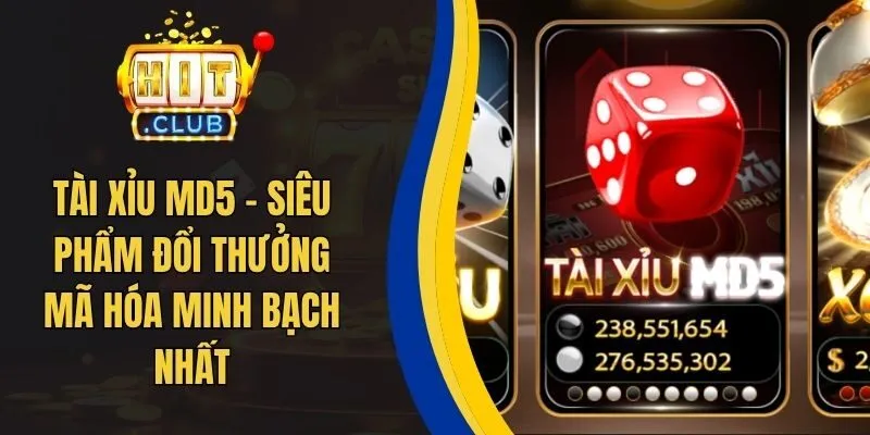 Tài Xỉu MD5 - Siêu Phẩm Đổi Thưởng Mã Hóa Minh Bạch Nhất